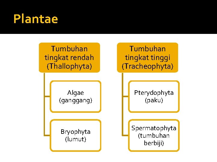 Plantae Tumbuhan tingkat rendah (Thallophyta) Tumbuhan tingkat tinggi (Tracheophyta) Algae (gang) Pterydophyta (paku) Bryophyta