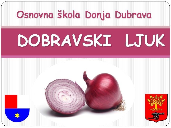 Osnovna škola Donja Dubrava DOBRAVSKI LJUK 