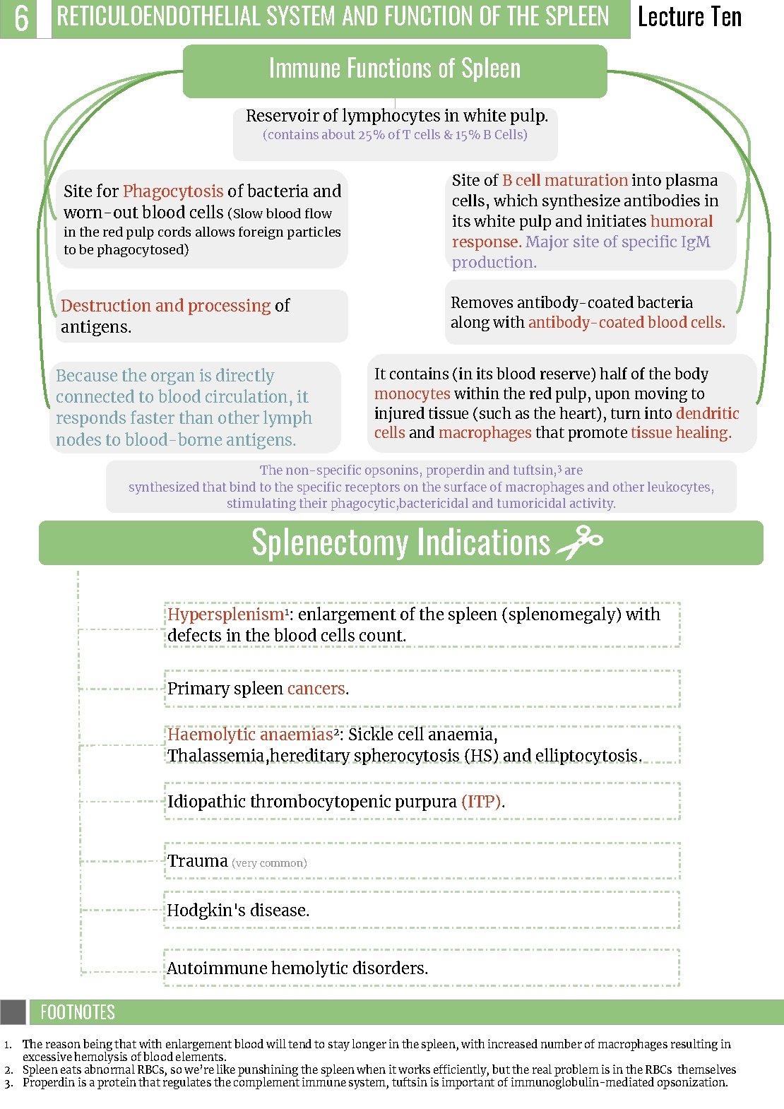 6 RETICULOENDOTHELIAL SYSTEM AND FUNCTION OF THE SPLEEN Lecture Ten Immune Functions of Spleen