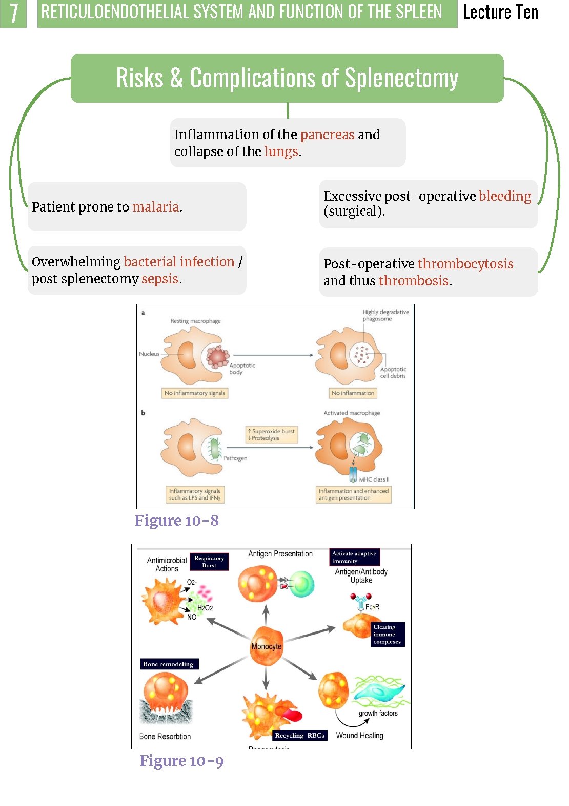 7 RETICULOENDOTHELIAL SYSTEM AND FUNCTION OF THE SPLEEN Lecture Ten Risks & Complications of