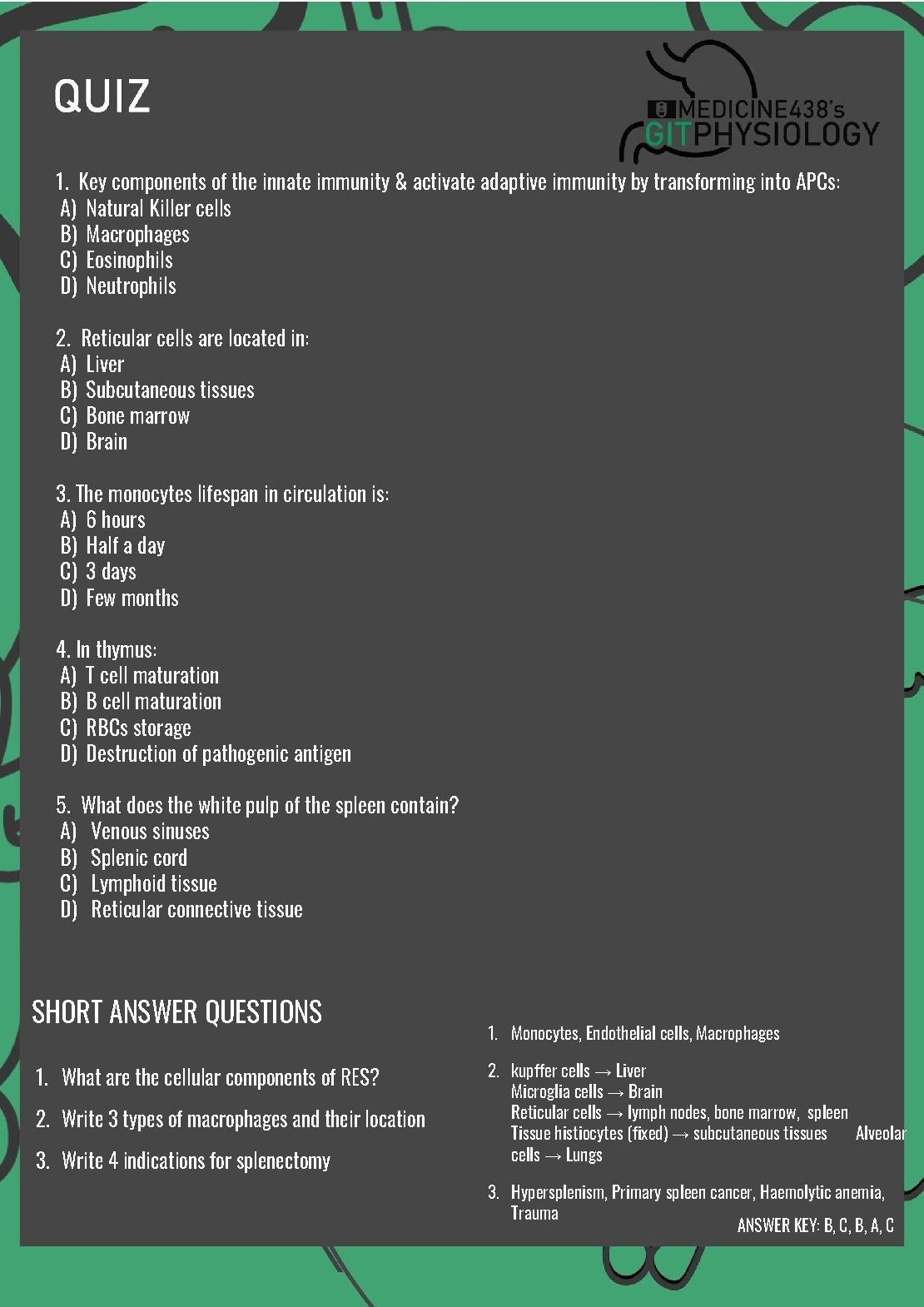 1. Key components of the innate immunity & activate adaptive immunity by transforming into