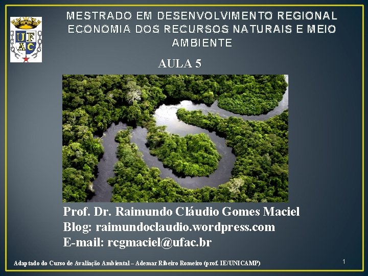 MESTRADO EM DESENVOLVIMENTO REGIONAL ECONOMIA DOS RECURSOS NATURAIS E MEIO AMBIENTE AULA 5 Prof.