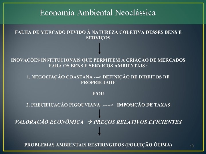Economia Ambiental Neoclássica 19 