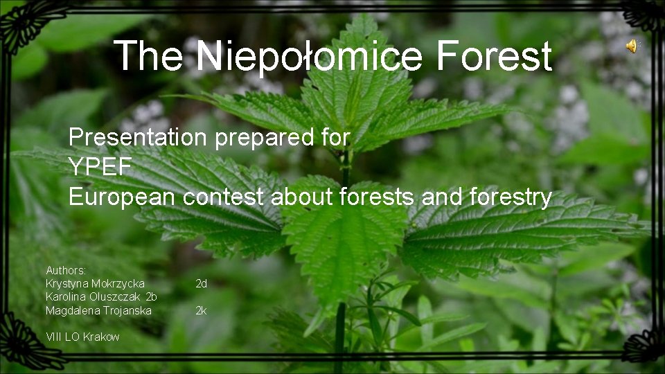 The Niepołomice Forest Presentation prepared for YPEF European contest about forests and forestry Authors: