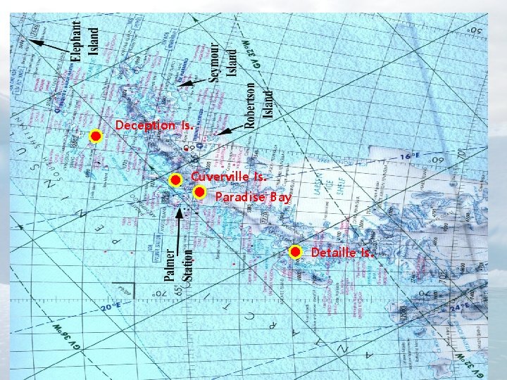 Unit 5. Ecotourism Deception Is. Cuverville Is. Paradise Bay, Antarctica Paradise Bay February Detaille