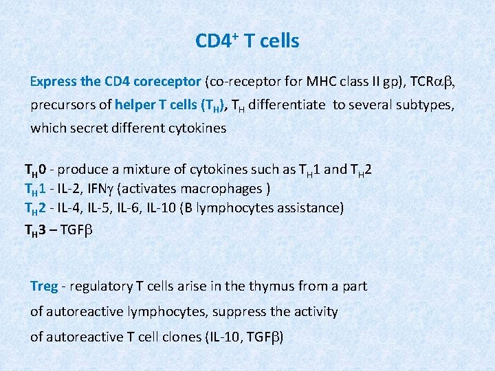 CD 4+ T cells Express the CD 4 coreceptor (co-receptor for MHC class II