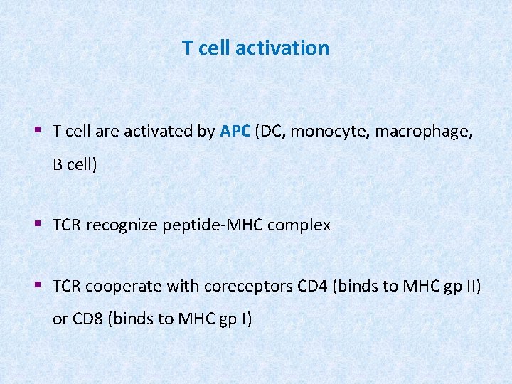 T cell activation § T cell are activated by APC (DC, monocyte, macrophage, B