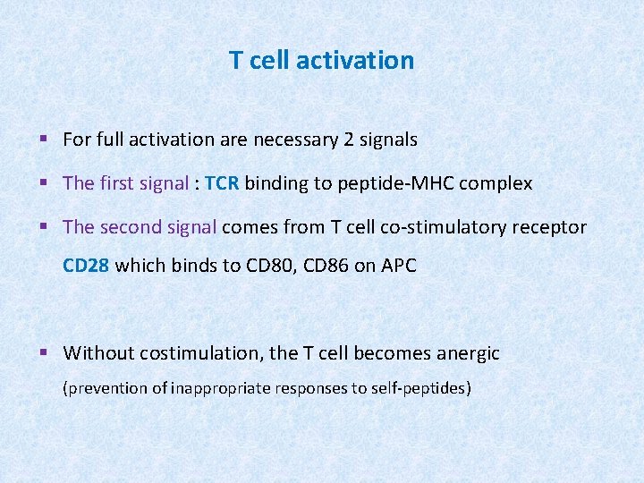 T cell activation § For full activation are necessary 2 signals § The first