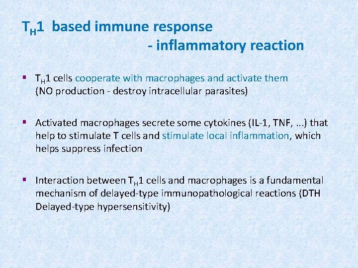 TH 1 based immune response - inflammatory reaction § TH 1 cells cooperate with
