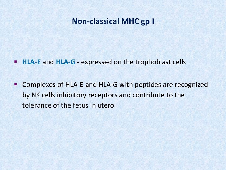 Non-classical MHC gp I § HLA-E and HLA-G - expressed on the trophoblast cells