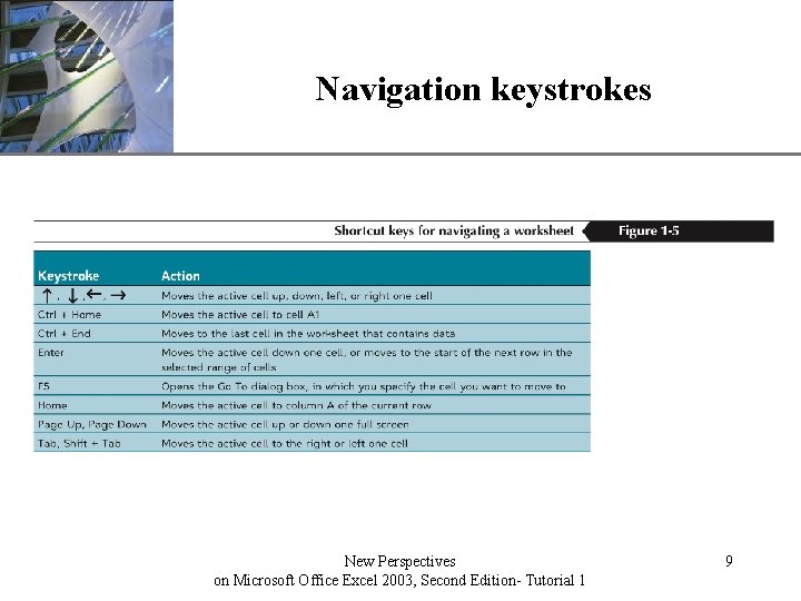 Navigation keystrokes New Perspectives on Microsoft Office Excel 2003, Second Edition- Tutorial 1 XP