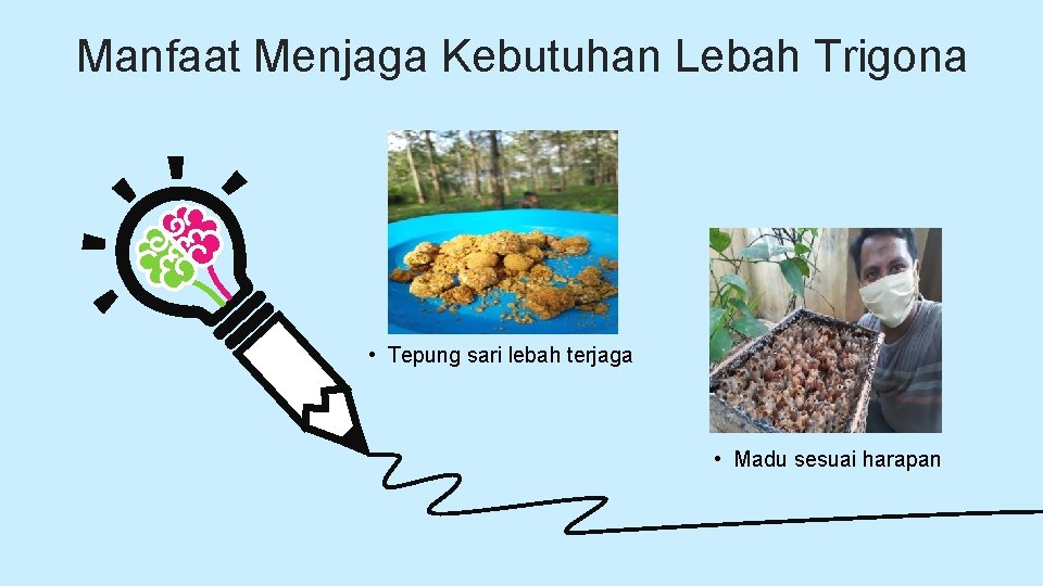 Manfaat Menjaga Kebutuhan Lebah Trigona • Tepung sari lebah terjaga • Madu sesuai harapan