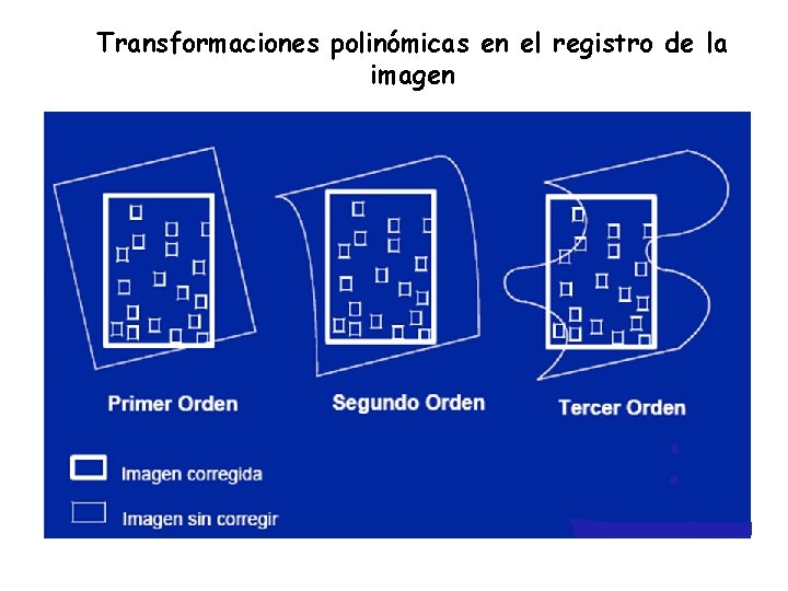 Transformaciones polinómicas en el registro de la imagen 