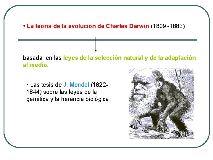  • La teoría de la evolución de Charles Darwin (1809 -1882) basada en