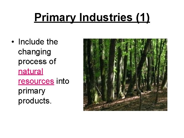 Primary Industries (1) • Include the changing process of natural resources into primary products.