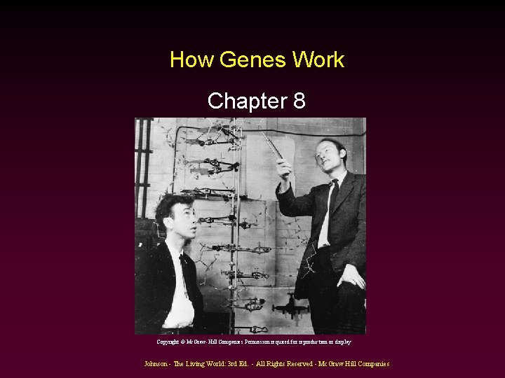 How Genes Work Chapter 8 Copyright © Mc. Graw-Hill Companies Permission required for reproduction How Genes Work Chapter 8 Copyright © Mc. Graw-Hill Companies Permission required for reproduction