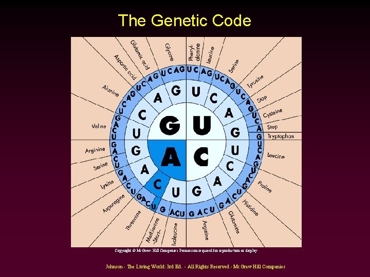 The Genetic Code Copyright © Mc. Graw-Hill Companies Permission required for reproduction or display The Genetic Code Copyright © Mc. Graw-Hill Companies Permission required for reproduction or display