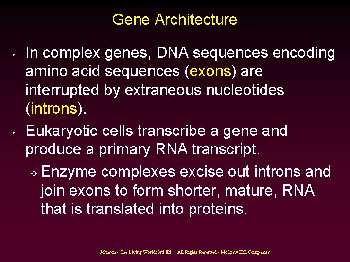 Gene Architecture • • In complex genes, DNA sequences encoding amino acid sequences (exons) Gene Architecture • • In complex genes, DNA sequences encoding amino acid sequences (exons)