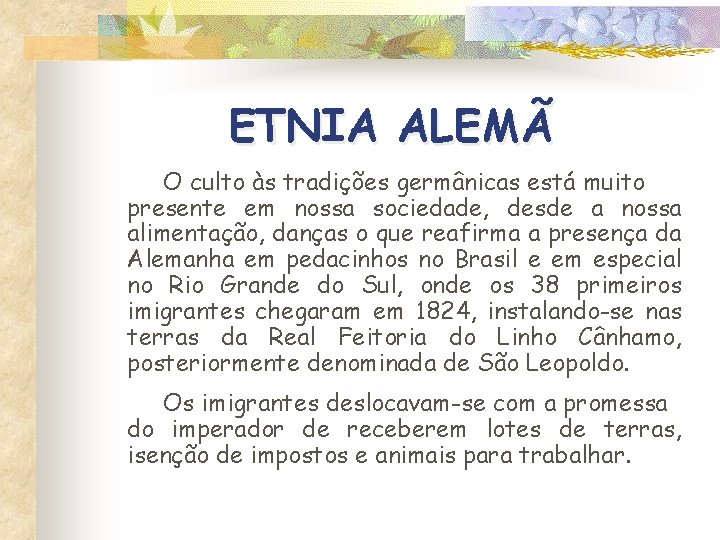 ETNIA ALEMÃ O culto às tradições germânicas está muito presente em nossa sociedade, desde