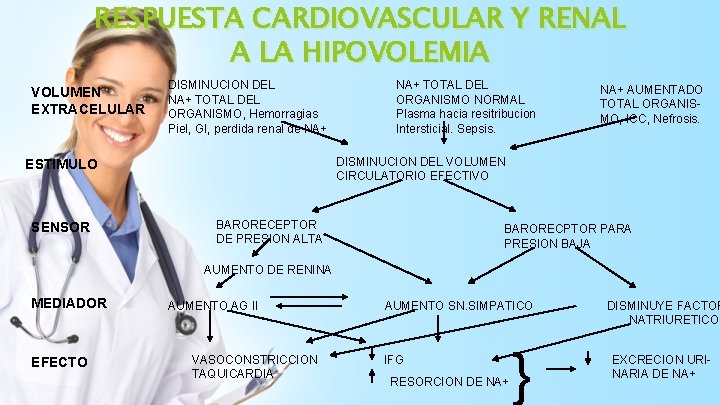 RESPUESTA CARDIOVASCULAR Y RENAL A LA HIPOVOLEMIA VOLUMEN EXTRACELULAR DISMINUCION DEL NA+ TOTAL DEL