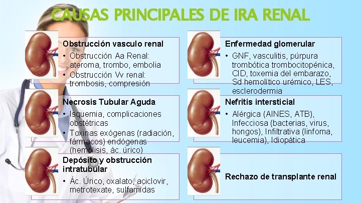 CAUSAS PRINCIPALES DE IRA RENAL Obstrucción vasculo renal Enfermedad glomerular • Obstrucción Aa Renal: