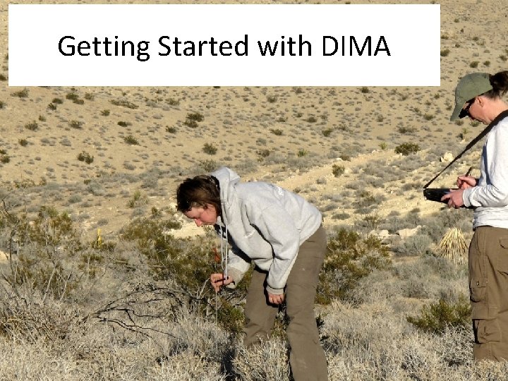 Getting Started with DIMA 