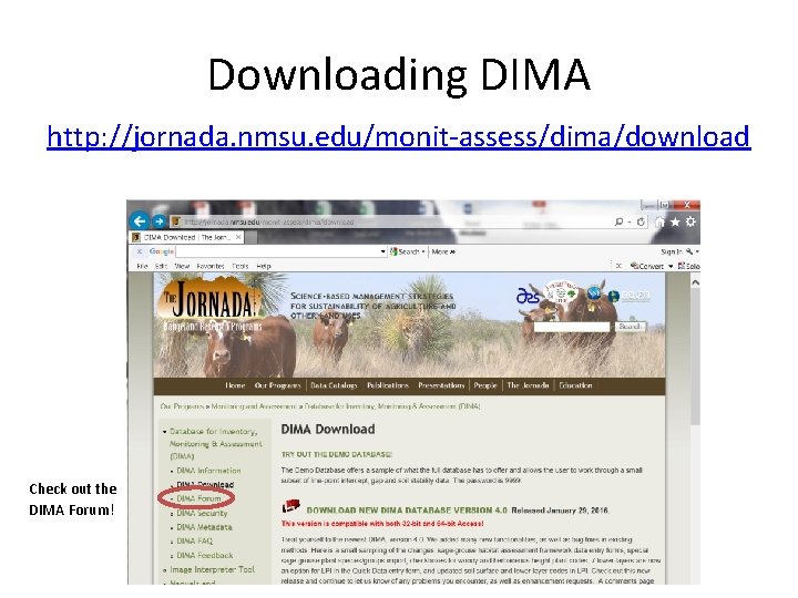 Downloading DIMA http: //jornada. nmsu. edu/monit-assess/dima/download Check out the DIMA Forum! 