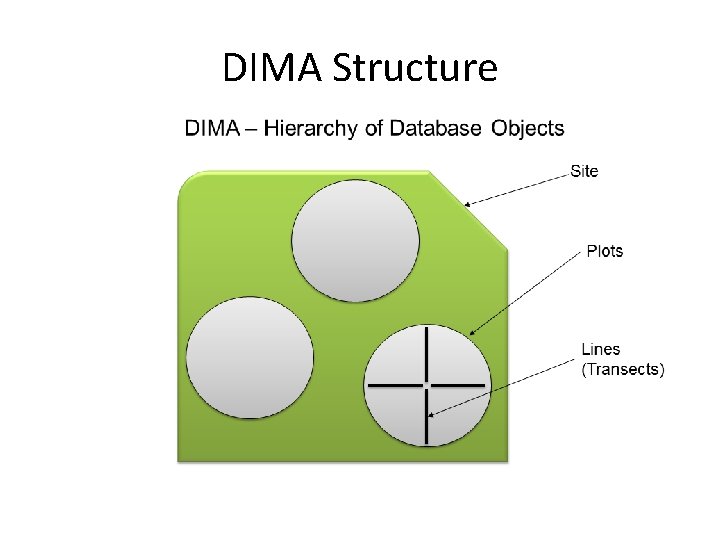 DIMA Structure 