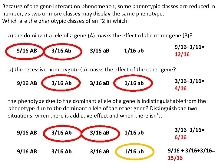 Because of the gene interaction phenomenon, some phenotypic classes are reduced in number, as