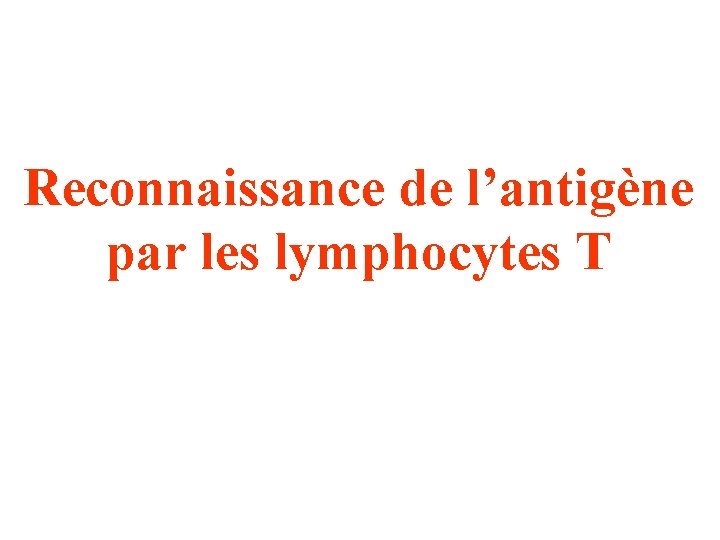 Reconnaissance de l’antigène par les lymphocytes T 