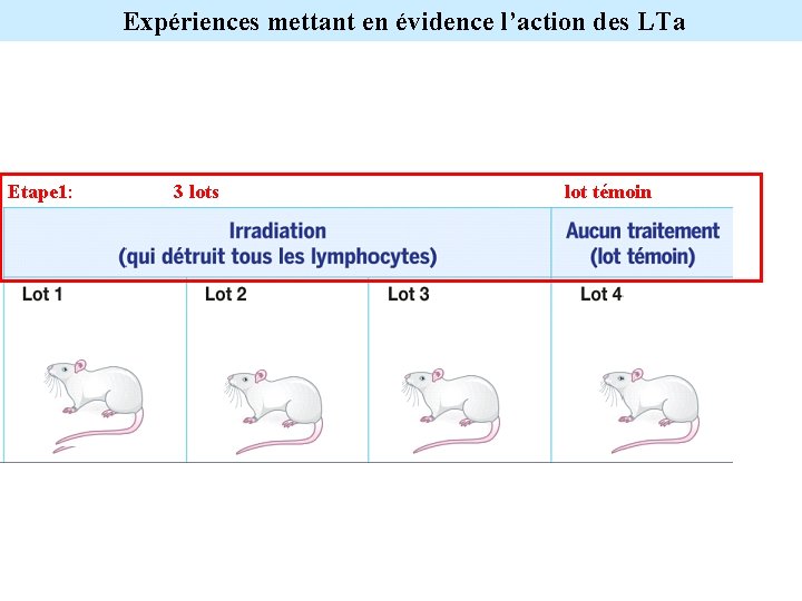 Expériences mettant en évidence l’action des LTa Etape 1: 3 lots lot témoin 