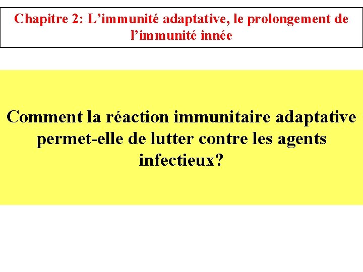 Chapitre 2: L’immunité adaptative, le prolongement de l’immunité innée Comment la réaction immunitaire adaptative