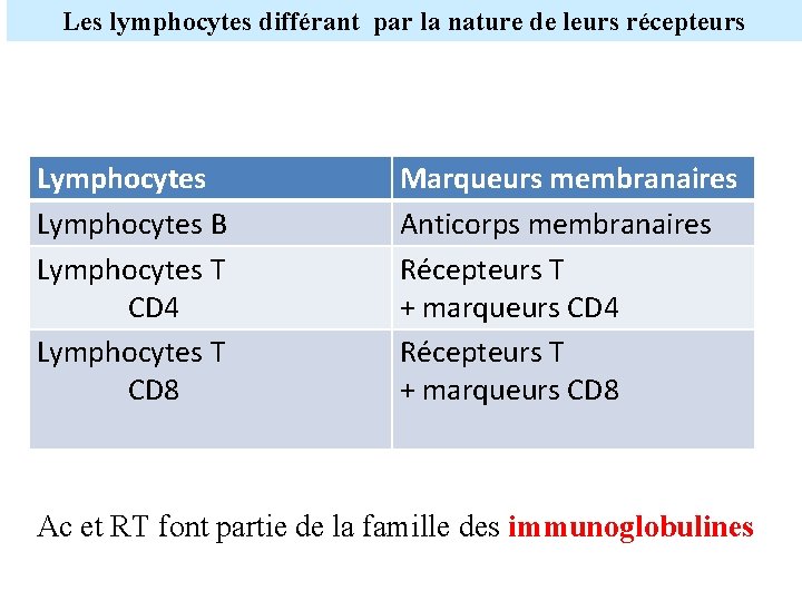 Les lymphocytes différant par la nature de leurs récepteurs Lymphocytes B Lymphocytes T CD