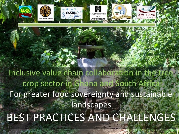 Inclusive value chain collaboration in the tree crop sector in Ghana and South Africa
