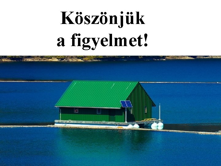 Köszönjük a figyelmet! 