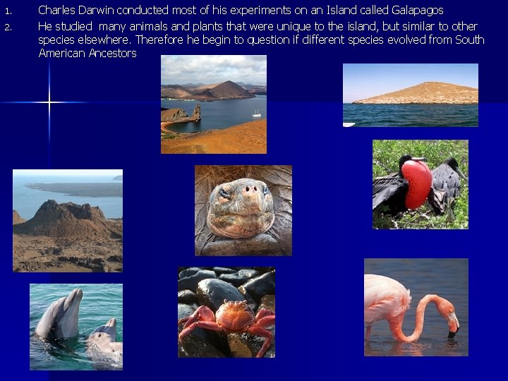 1. 2. Charles Darwin conducted most of his experiments on an Island called Galapagos