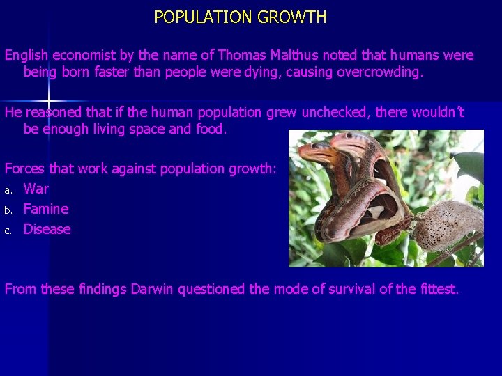 POPULATION GROWTH English economist by the name of Thomas Malthus noted that humans were