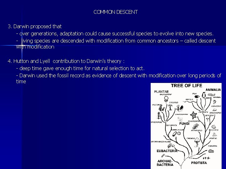 COMMON DESCENT 3. Darwin proposed that - over generations, adaptation could cause successful species