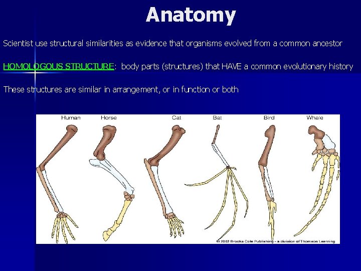 Anatomy Scientist use structural similarities as evidence that organisms evolved from a common ancestor