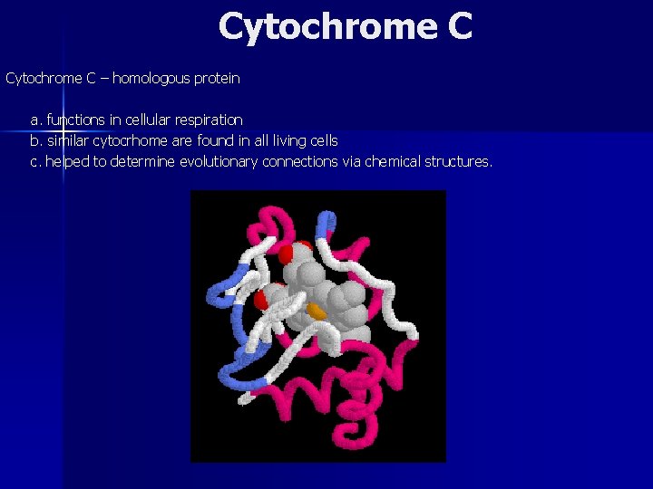 Cytochrome C – homologous protein a. functions in cellular respiration b. similar cytocrhome are