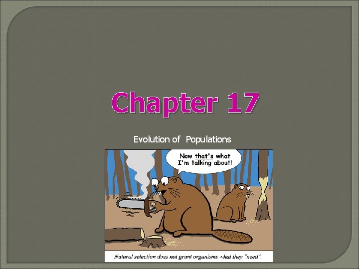Chapter 17 Evolution of Populations 