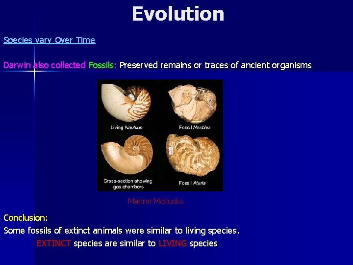 Evolution Species vary Over Time Darwin also collected Fossils: Preserved remains or traces of