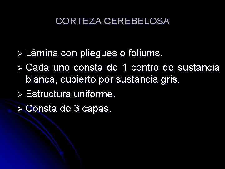 CORTEZA CEREBELOSA Ø Lámina con pliegues o foliums. Ø Cada uno consta de 1