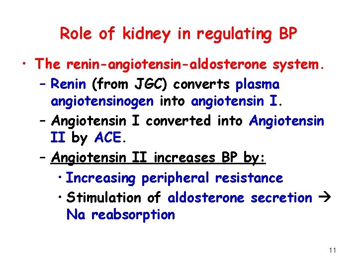 Role of kidney in regulating BP • The renin-angiotensin-aldosterone system. – Renin (from JGC)