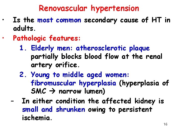 Renovascular hypertension • Is the most common secondary cause of HT in adults. •