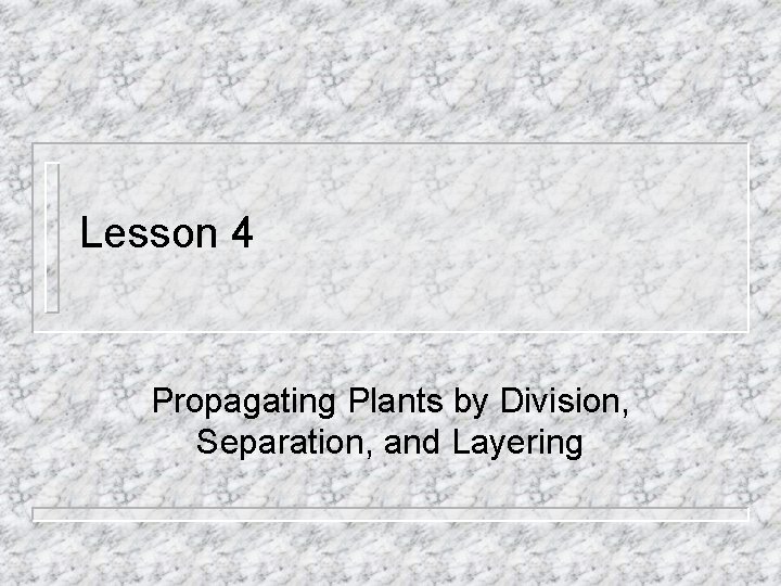 Lesson 4 Propagating Plants by Division, Separation, and Layering 