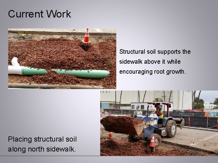 Current Work Structural soil supports the sidewalk above it while encouraging root growth. Placing