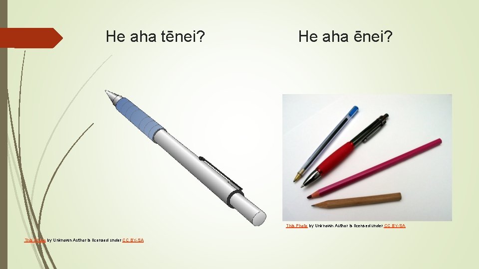 He aha tēnei? He aha ēnei? This Photo by Unknown Author is licensed under