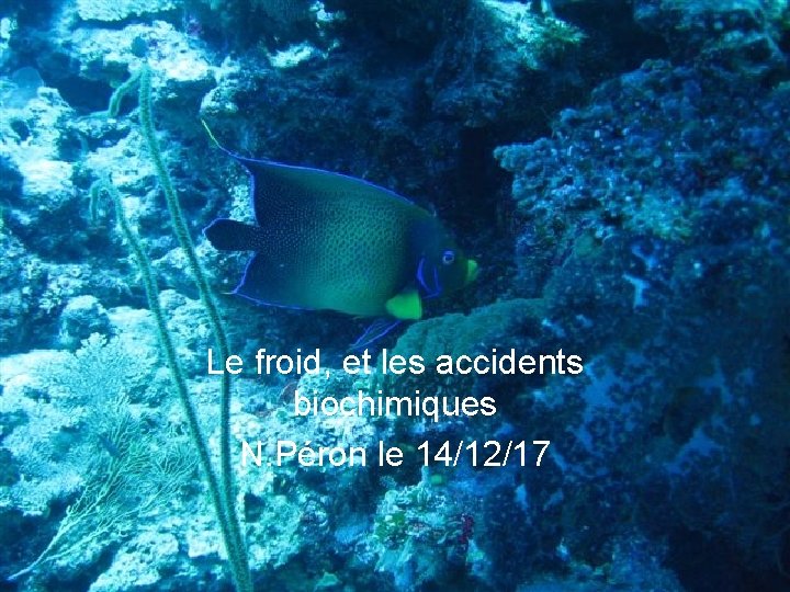 Le froid, et les accidents biochimiques N. Péron le 14/12/17 