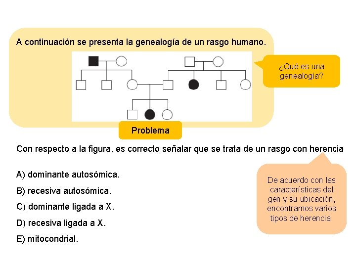 A continuación se presenta la genealogía de un rasgo humano. ¿Qué es una genealogía?